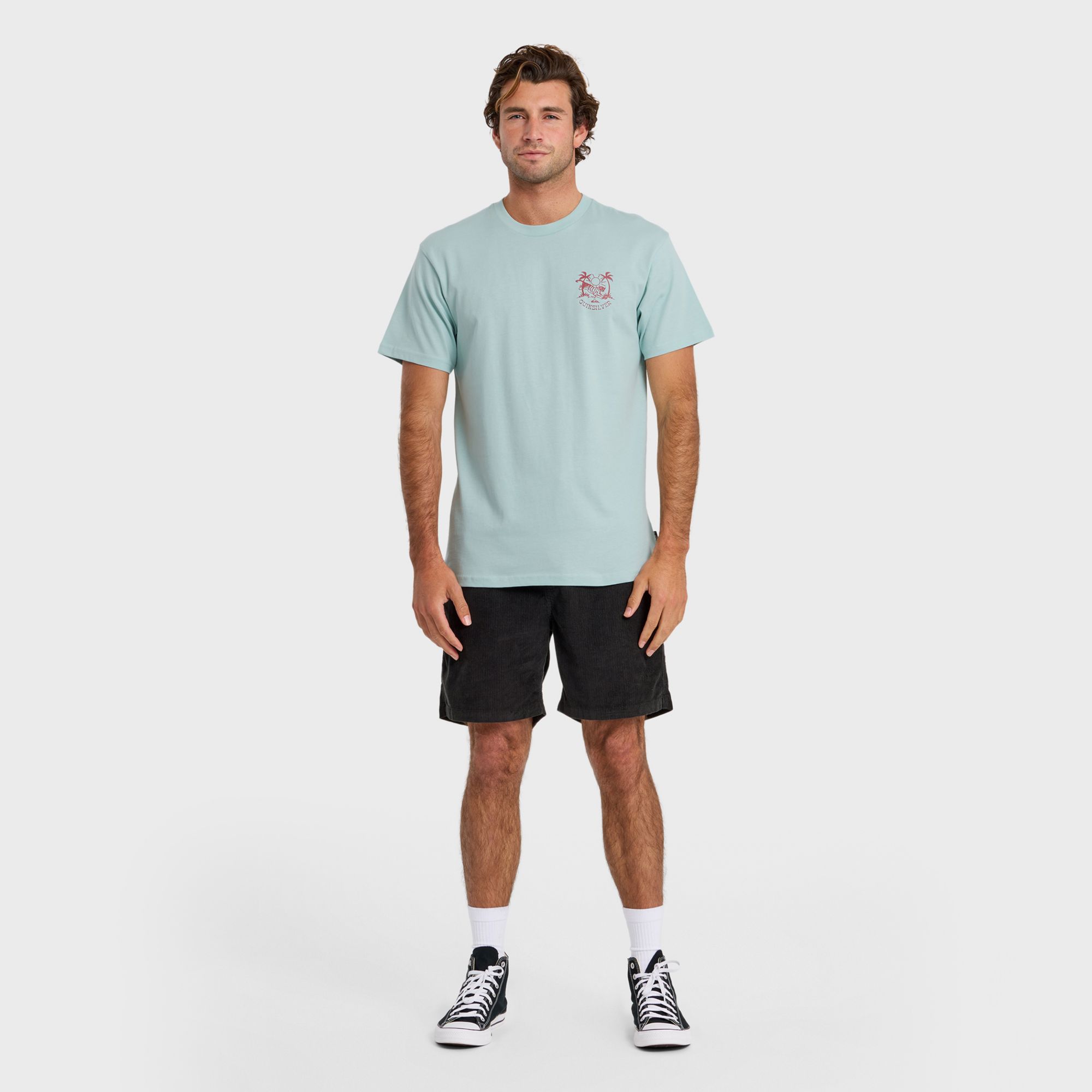 Quiksilver Men's In the Wild T-Shirt product image