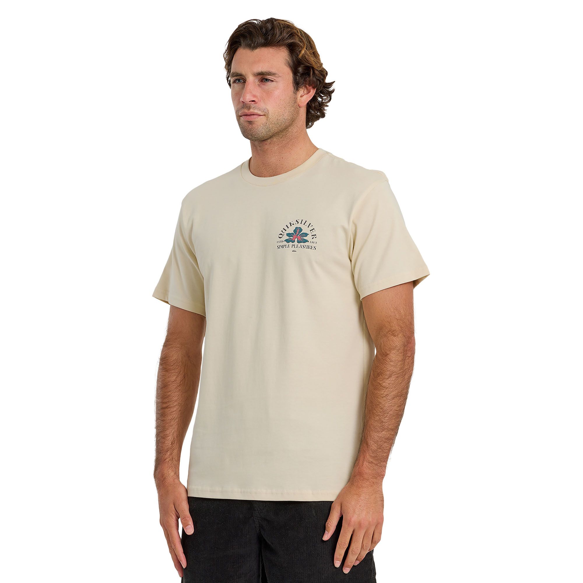Quiksilver Men's Pleasures T-Shirt product image
