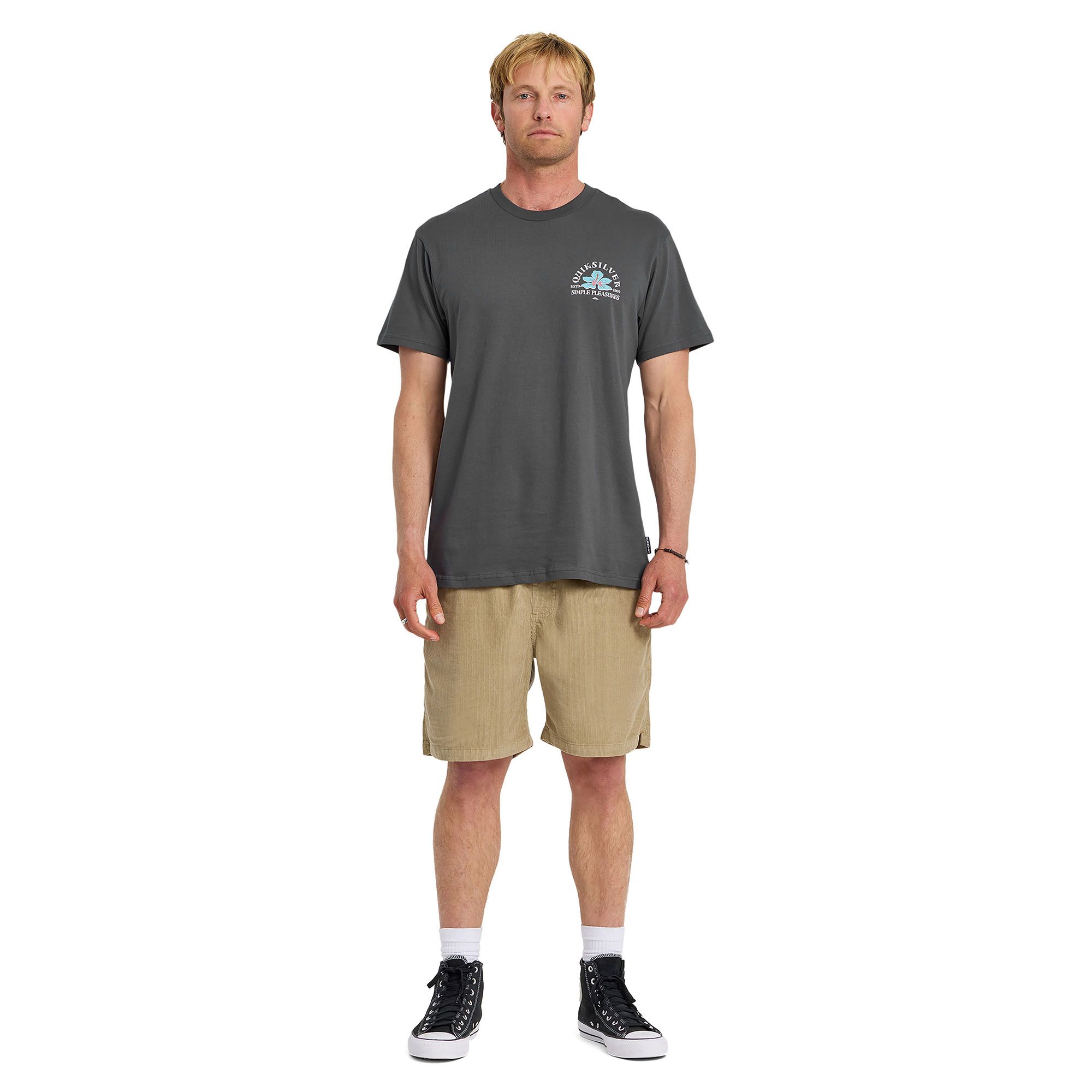 Quiksilver Men's Pleasures T-Shirt product image
