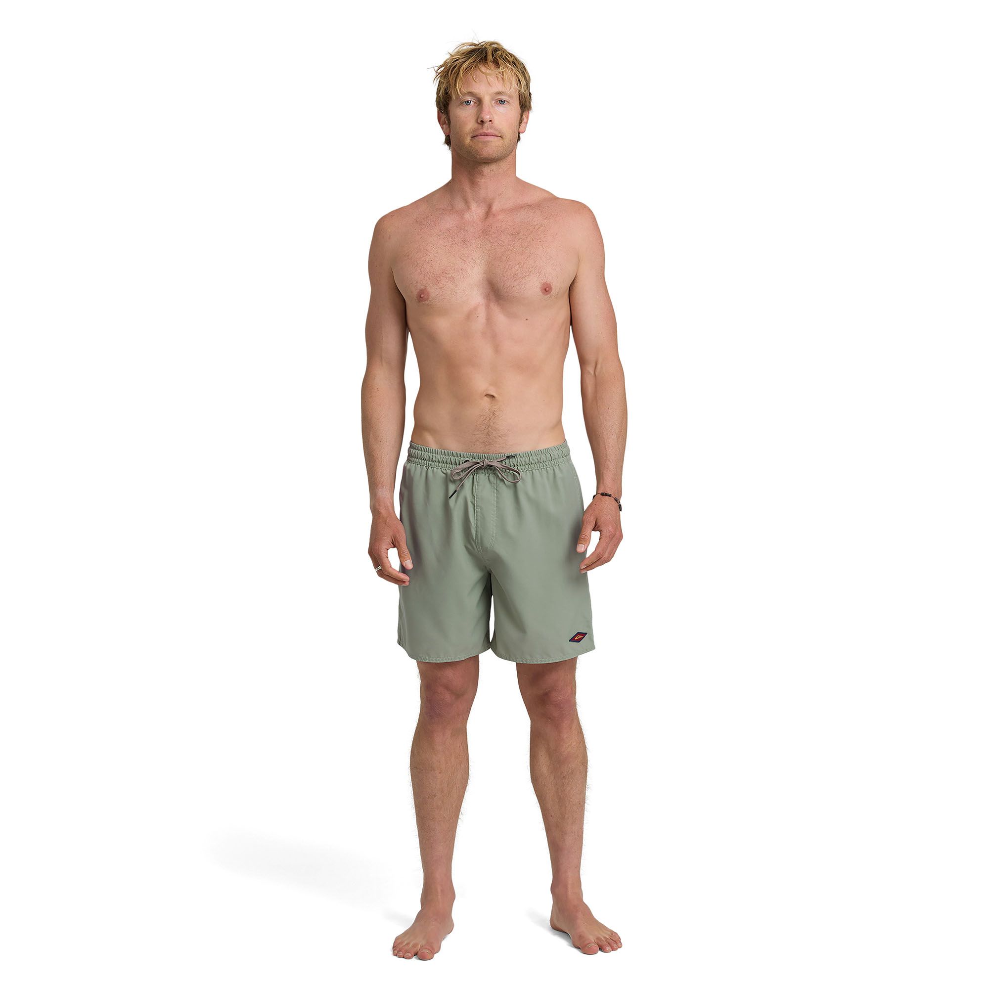 Quiksilver Men's Saltwater 17" Swim Trunks product image