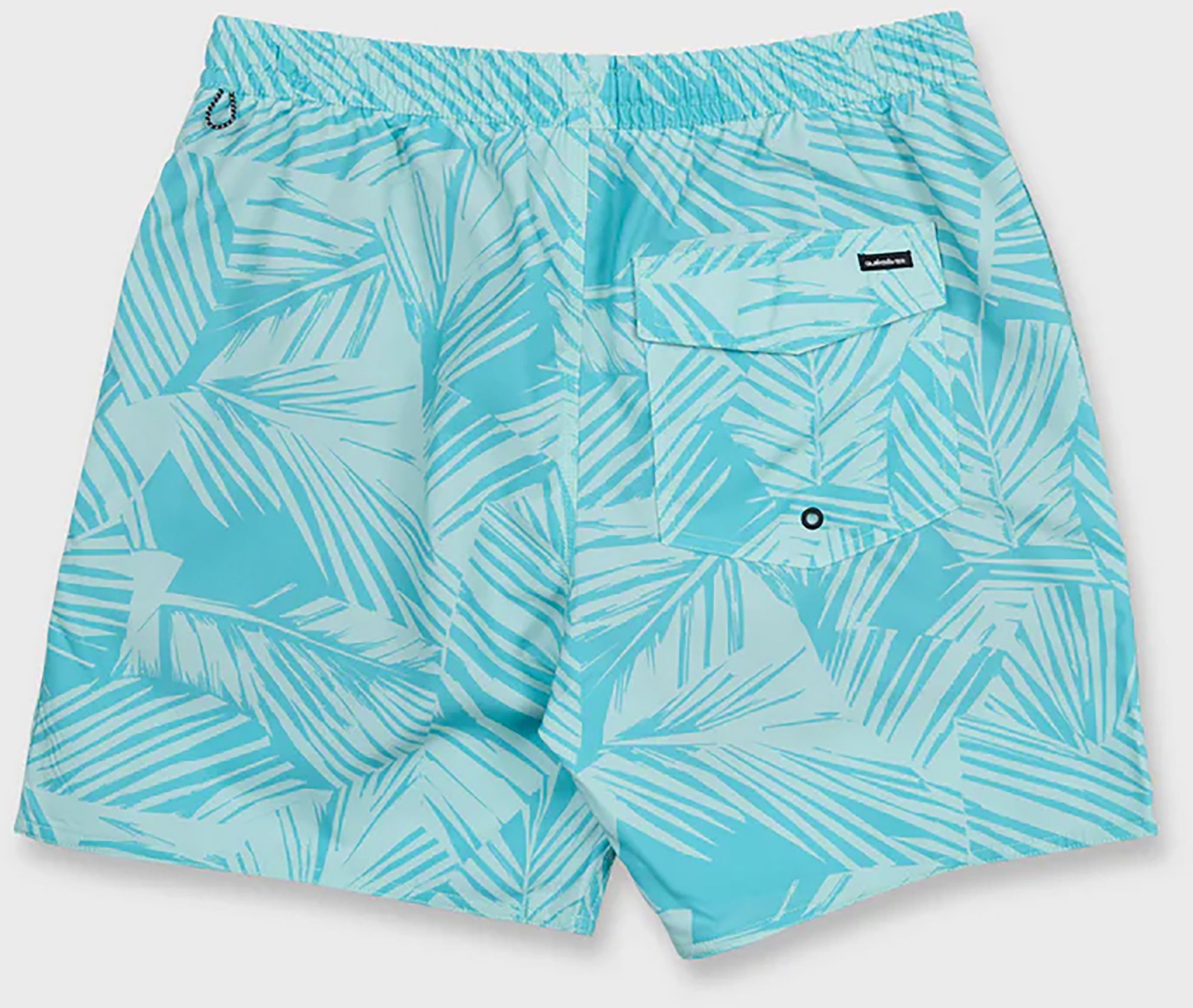 Quiksilver Men's Mix 17" Swim Trunks product image