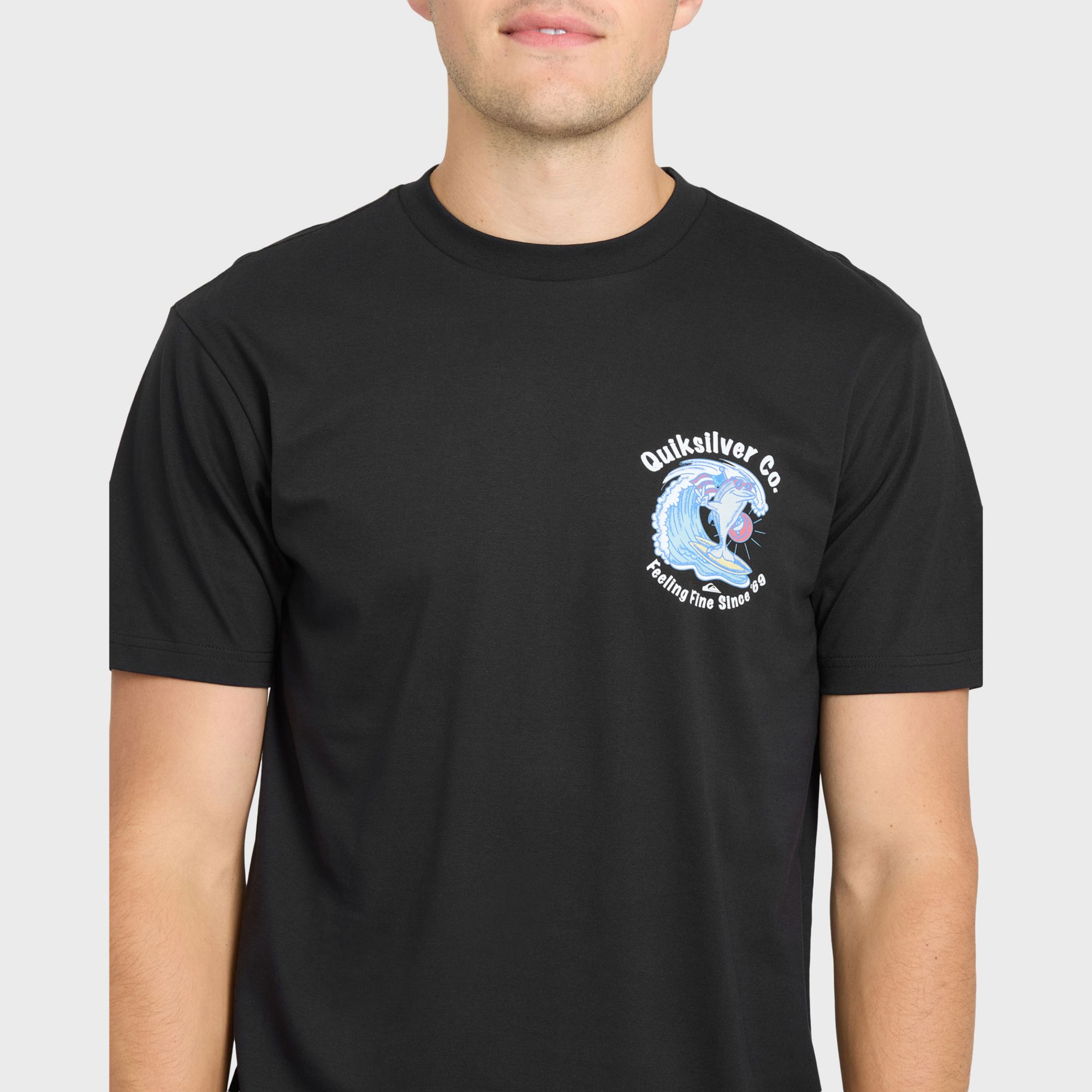 Quiksilver Men's Patriot Dolphins Tee product image