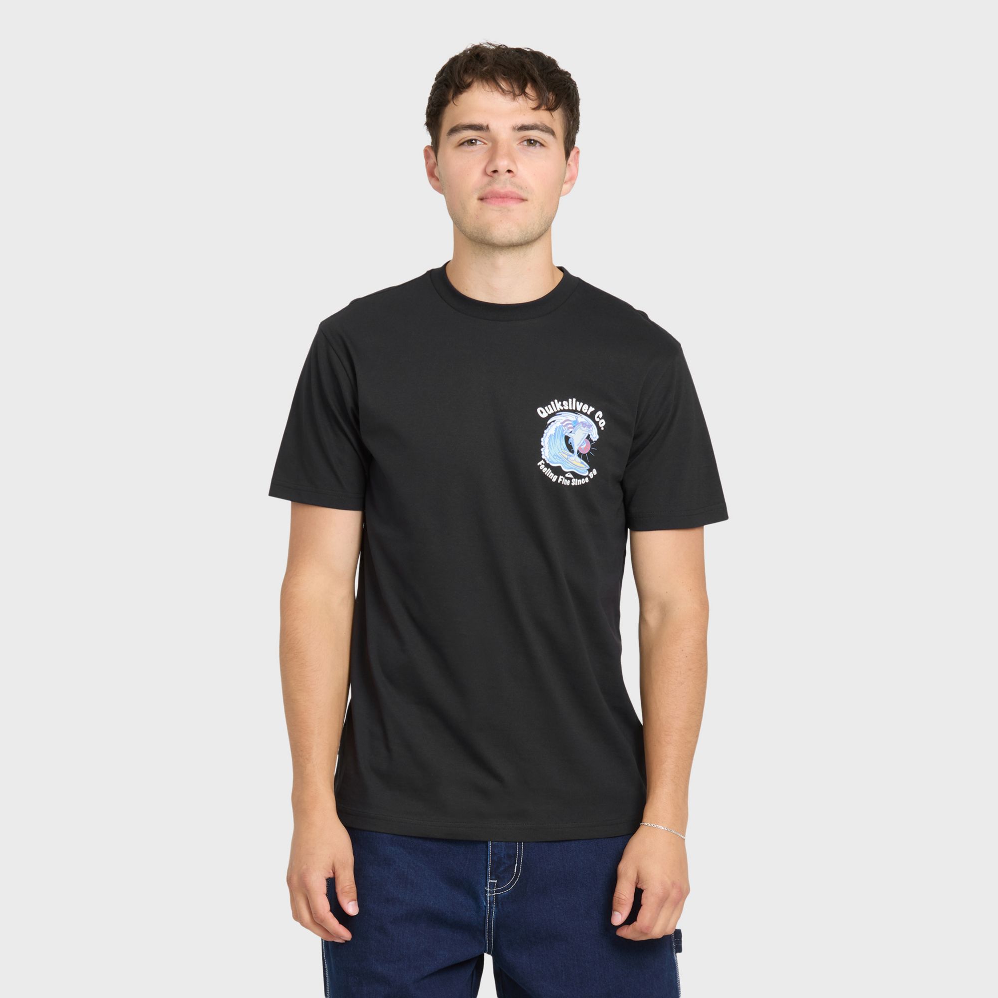 Quiksilver Men's Patriot Dolphins Tee product image