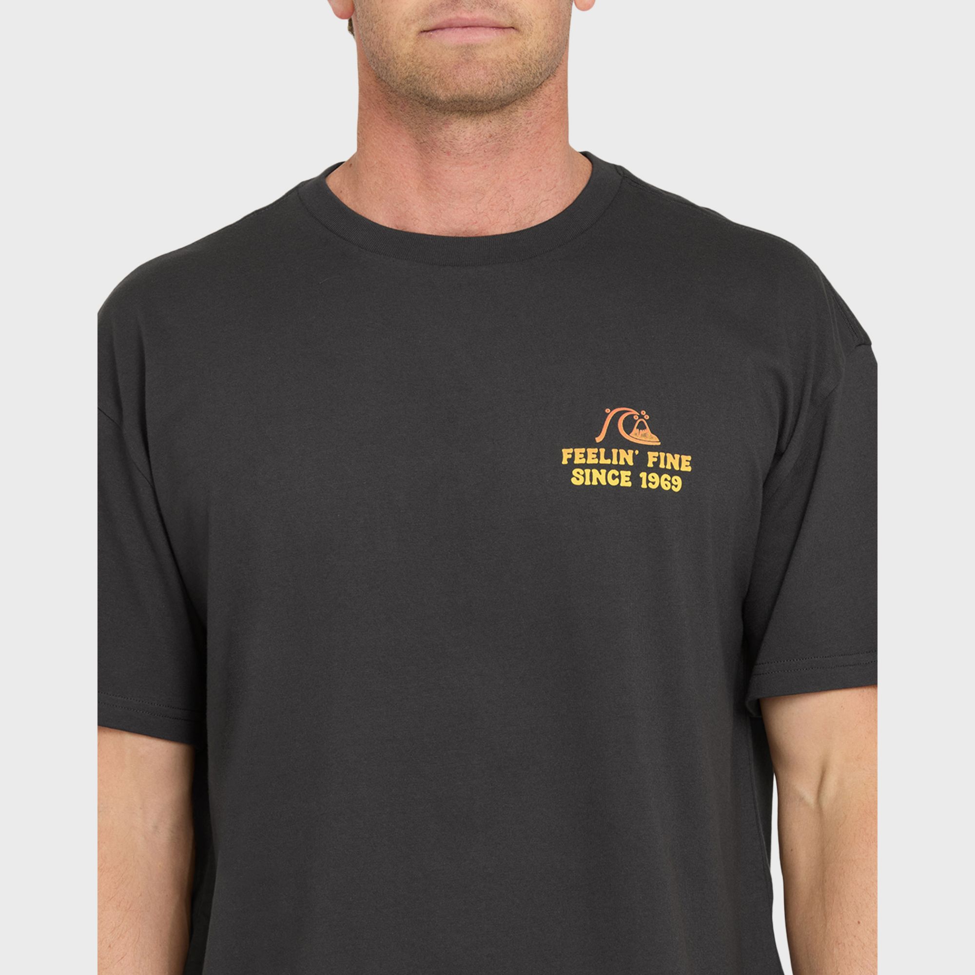 Quiksilver Men's Originals Hawaiian Paradise Knit T-Shirt product image