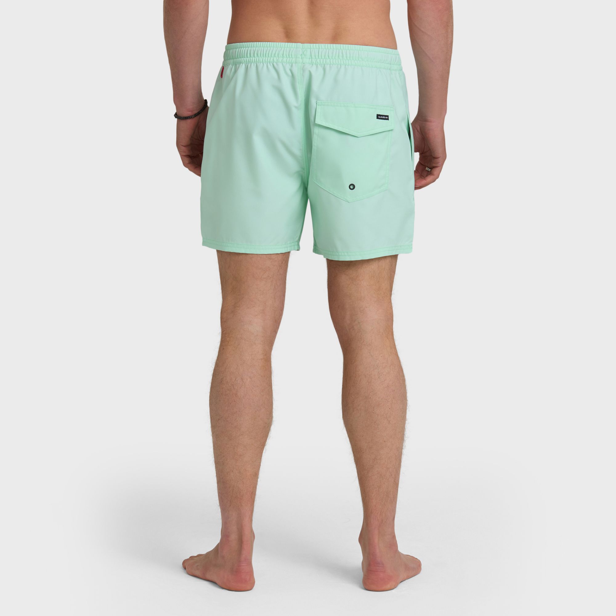 Quiksilver Men's Everyday Solid Volley 15" Boardshorts product image