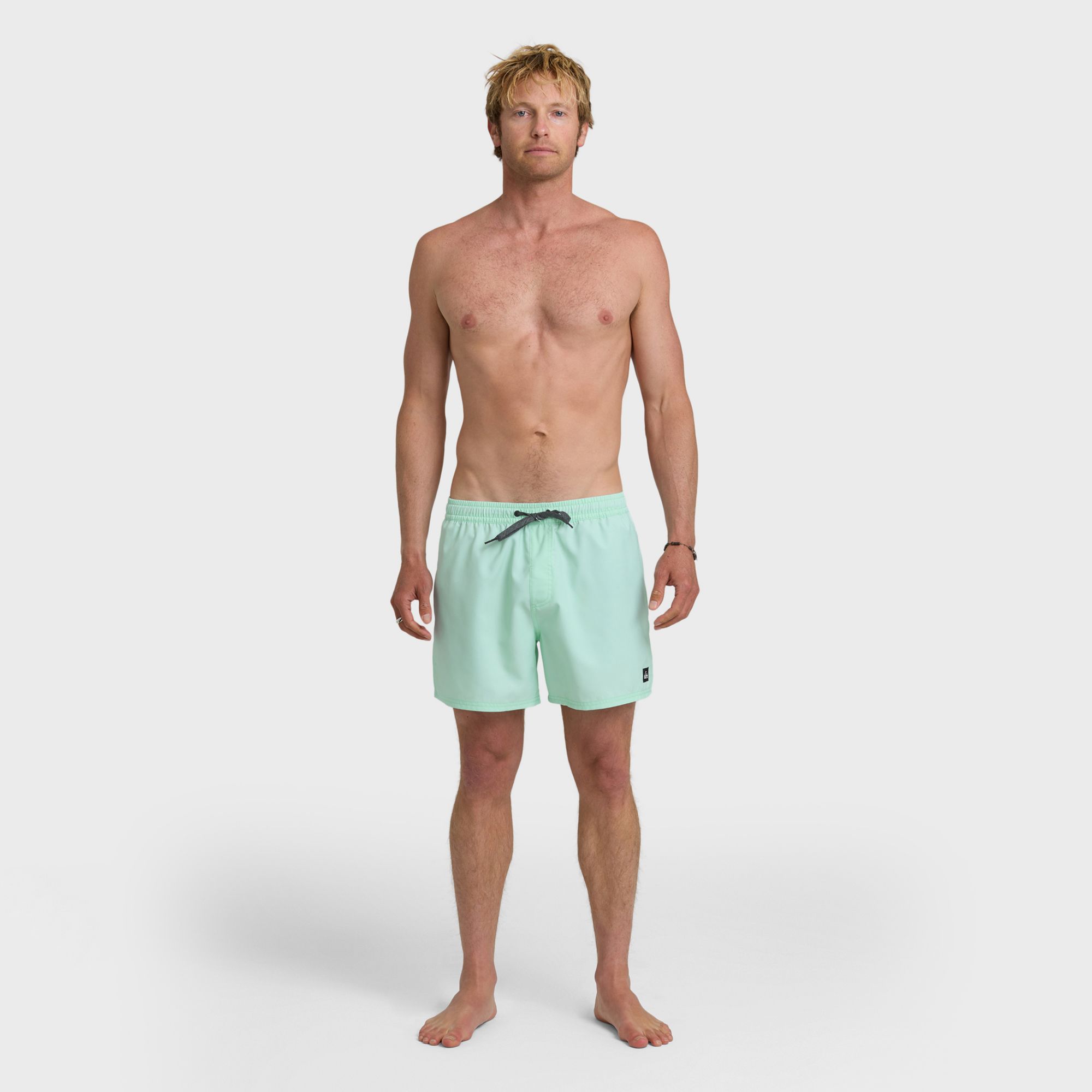 Quiksilver Men's Everyday Solid Volley 15" Boardshorts product image