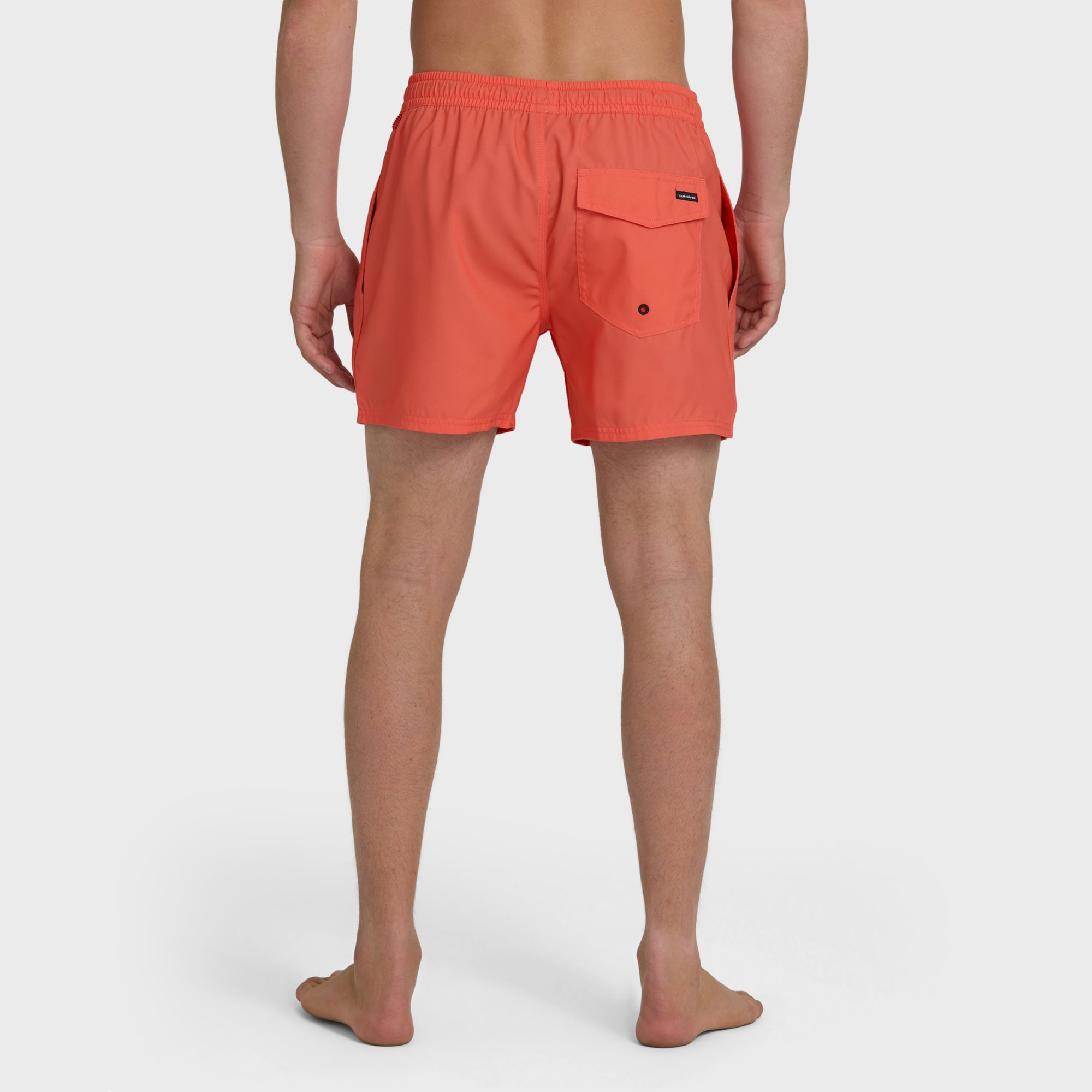 Quiksilver Men's Everyday Solid Volley 15" Boardshorts product image