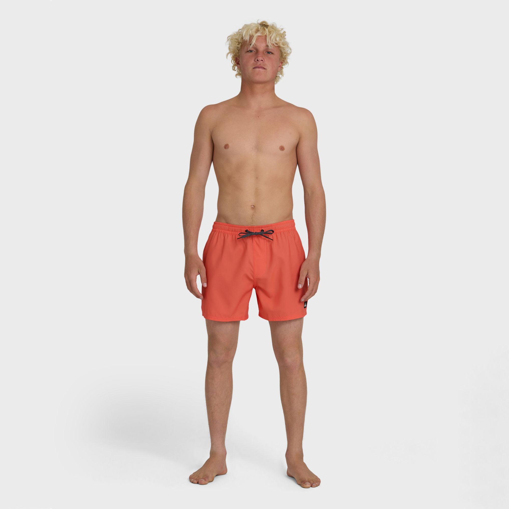 Quiksilver Men's Everyday Solid Volley 15" Boardshorts product image