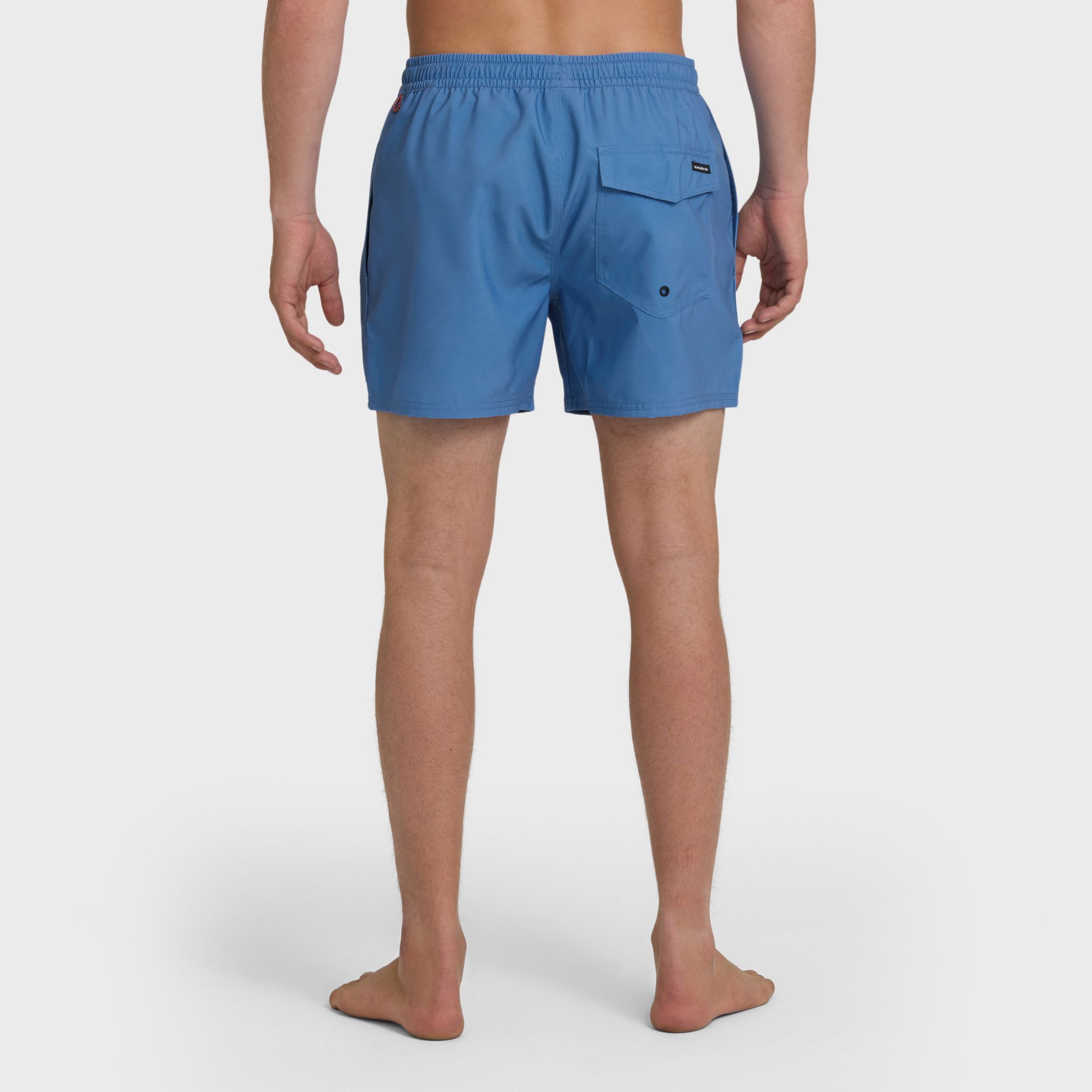 Quiksilver Men's Everyday Solid Volley 15" Boardshorts product image