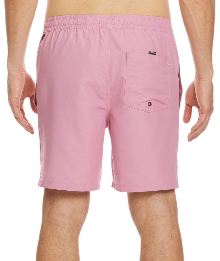 Quiksilver Men's Everyday Solid 17" Swim Trunks product image