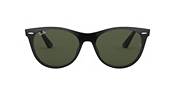 Ray-Ban Wayfarer II Classics Sunglasses product image