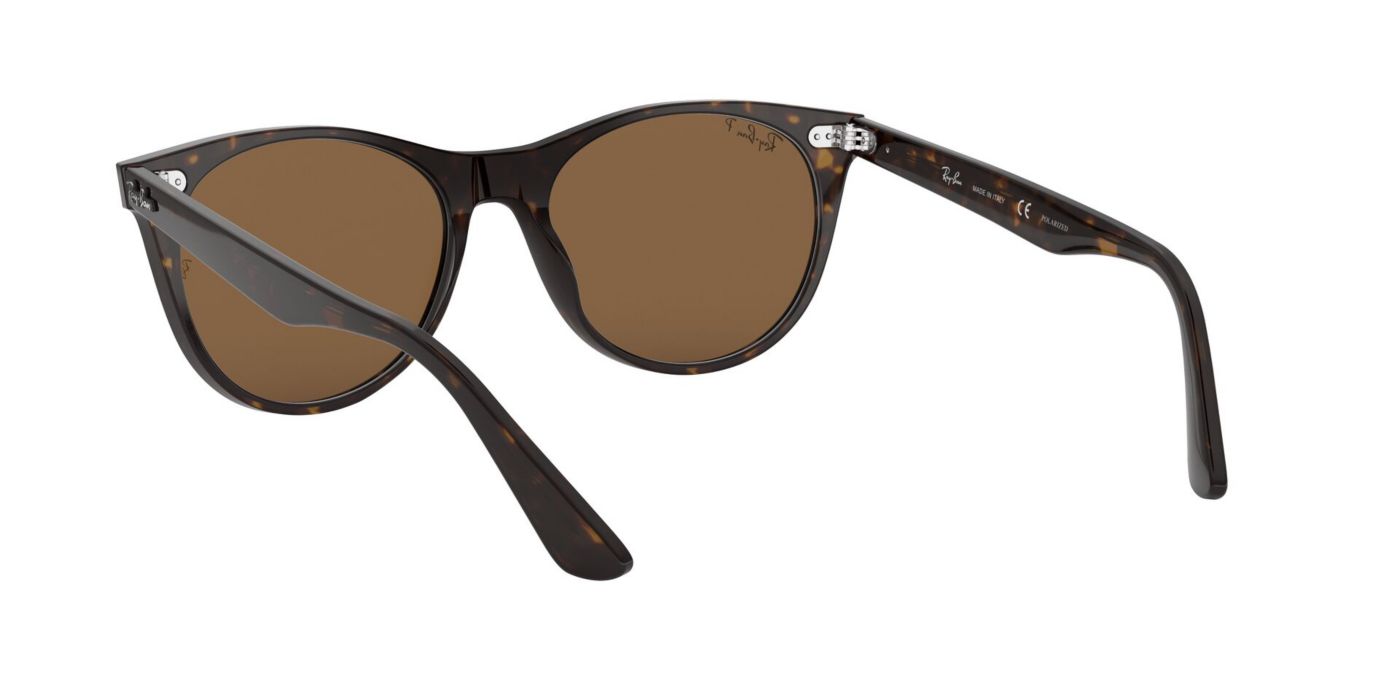 Ray Ban Wayfarer II Classics Polarized Sunglasses Publiclands