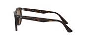 Ray-Ban Wayfarer II Classics Polarized Sunglasses product image