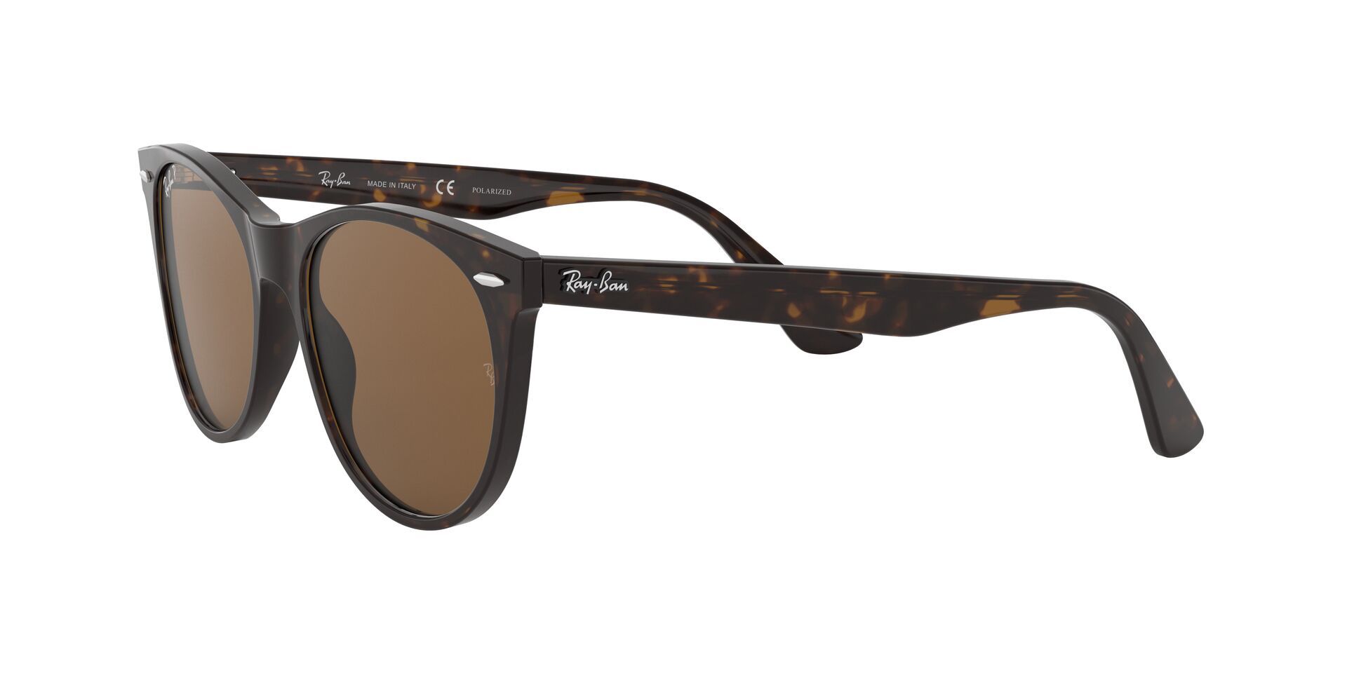 Ray-Ban Wayfarer II Classics Polarized Sunglasses