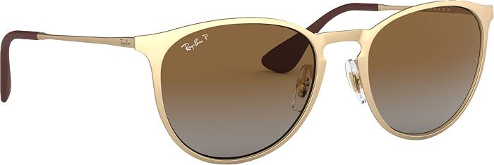 Ray-Ban Erika @Collection Sunglasses