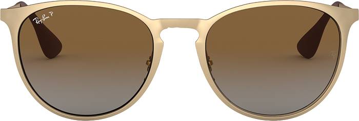 Ray-Ban Erika @Collection Sunglasses
