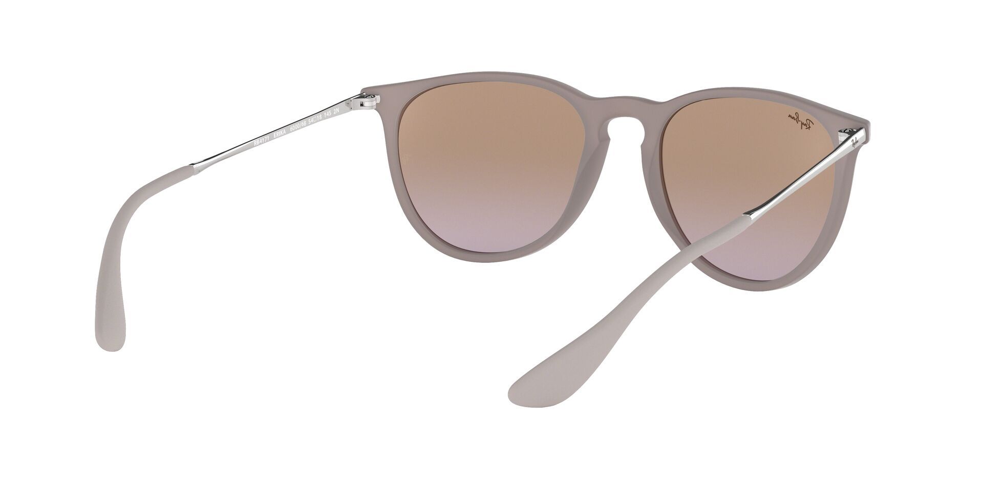 Ray-Ban Erika Classic Sunglasses product image