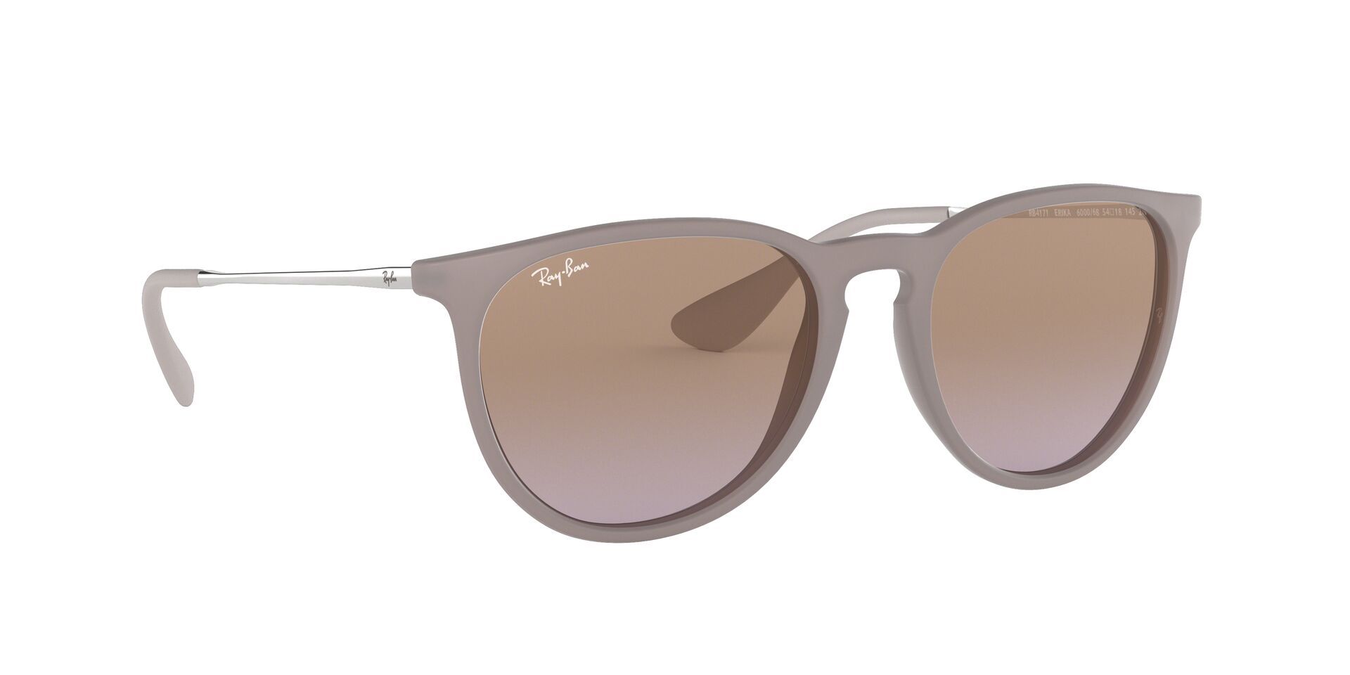 Ray-Ban Erika Classic Sunglasses product image