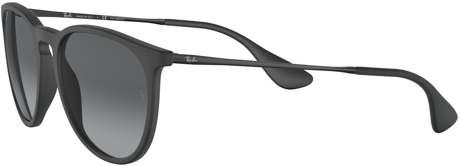 Ray-Ban Erika Metal Sunglasses product image