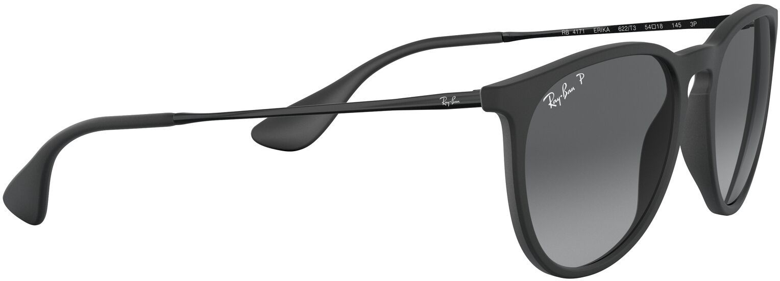 Ray-Ban Erika Metal Sunglasses product image