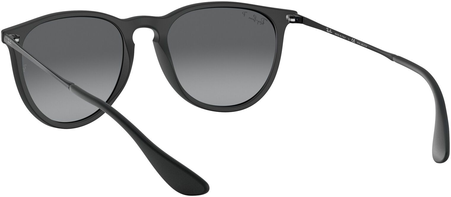 Ray-Ban Erika Metal Sunglasses product image