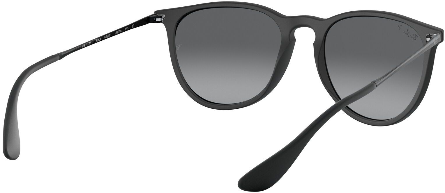 Ray-Ban Erika Metal Sunglasses product image