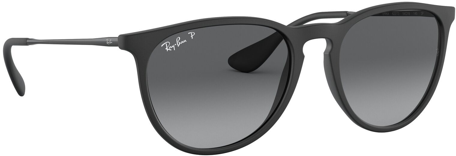 Ray-Ban Erika Metal Sunglasses product image