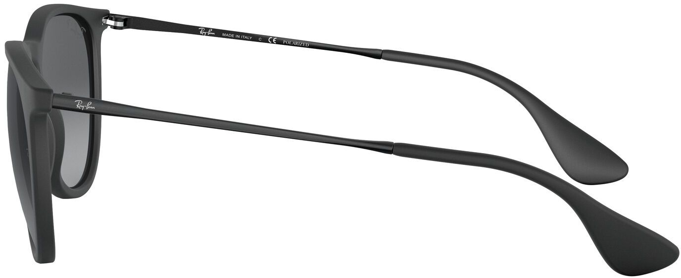 Ray-Ban Erika Metal Sunglasses product image