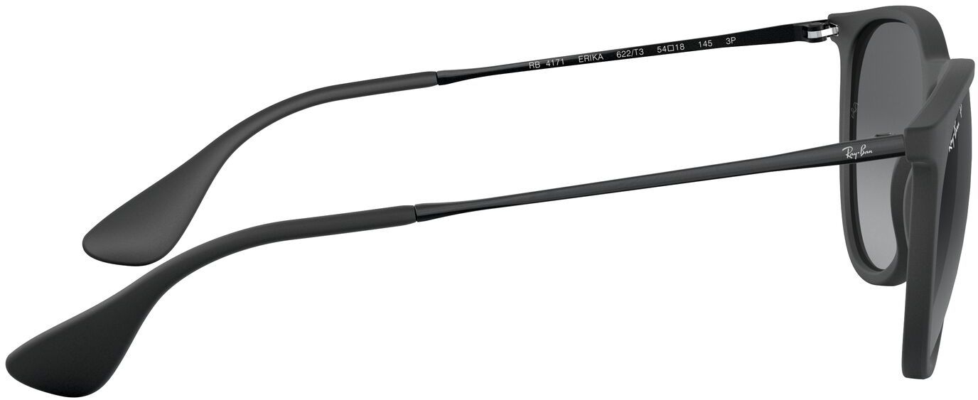 Ray-Ban Erika Metal Sunglasses product image