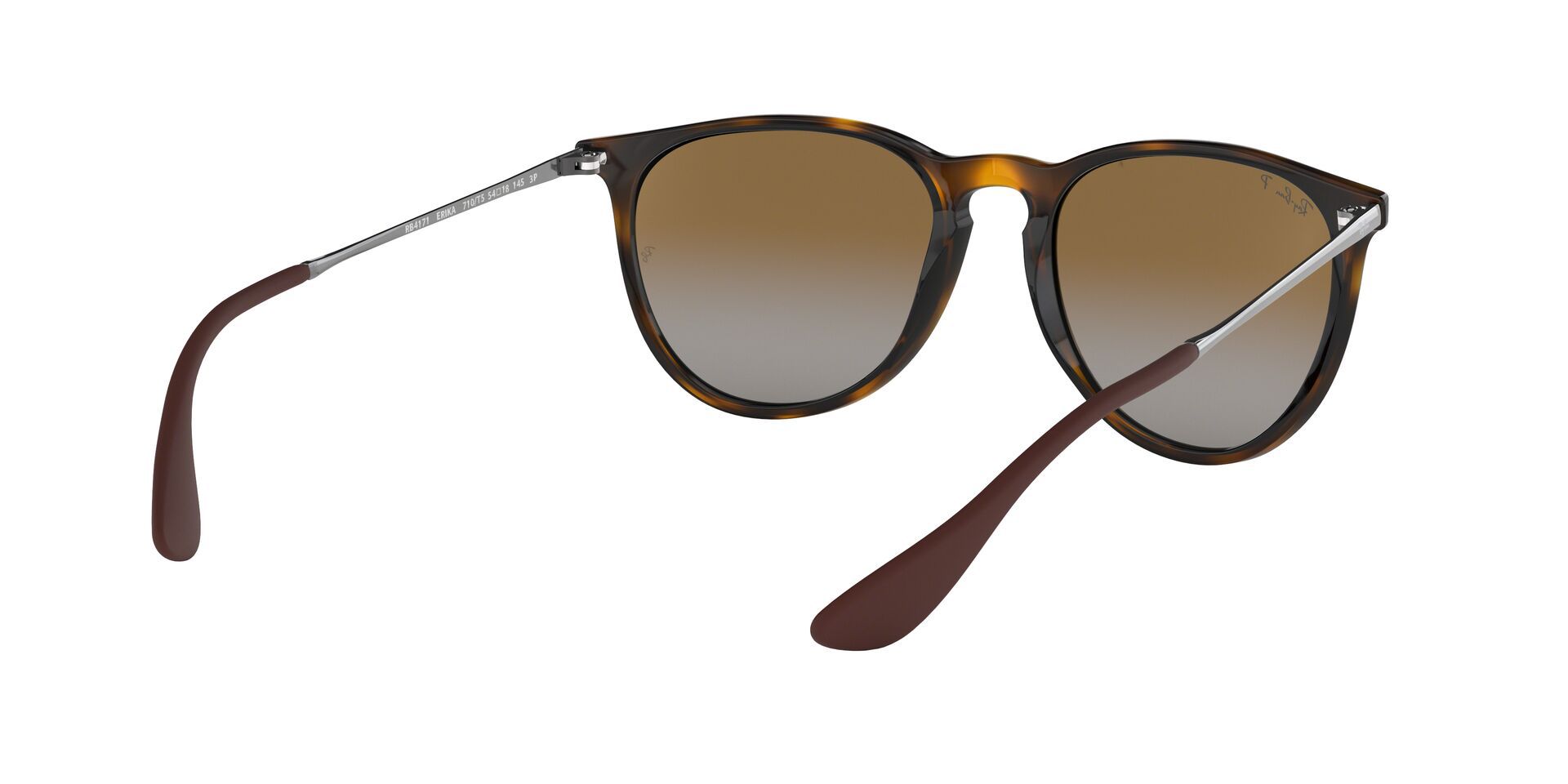 Ray-Ban Erika Classic Sunglasses product image