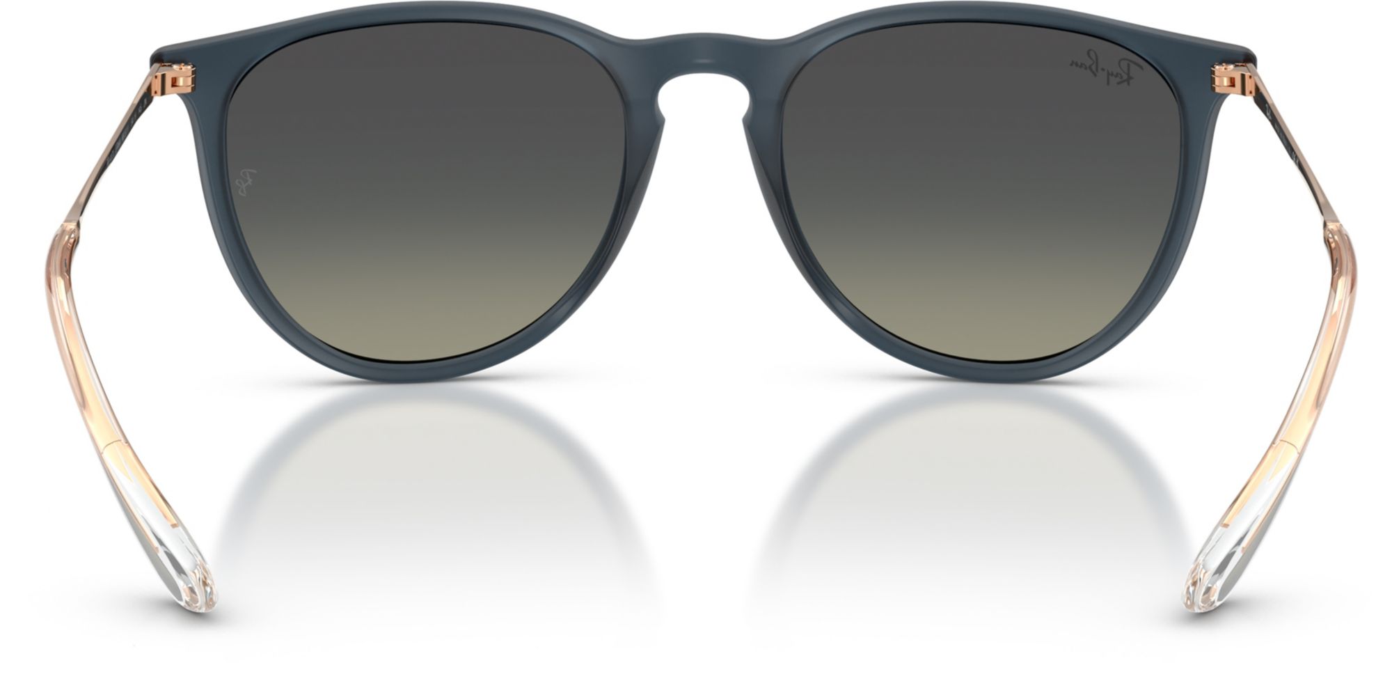 Ray-Ban Erika Classic Sunglasses product image