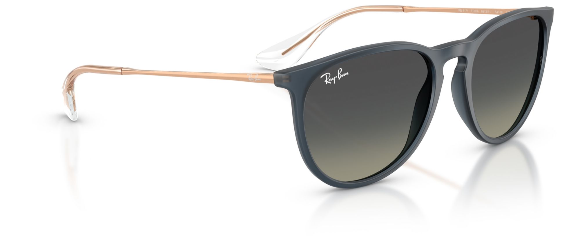 Ray-Ban Erika Classic Sunglasses product image