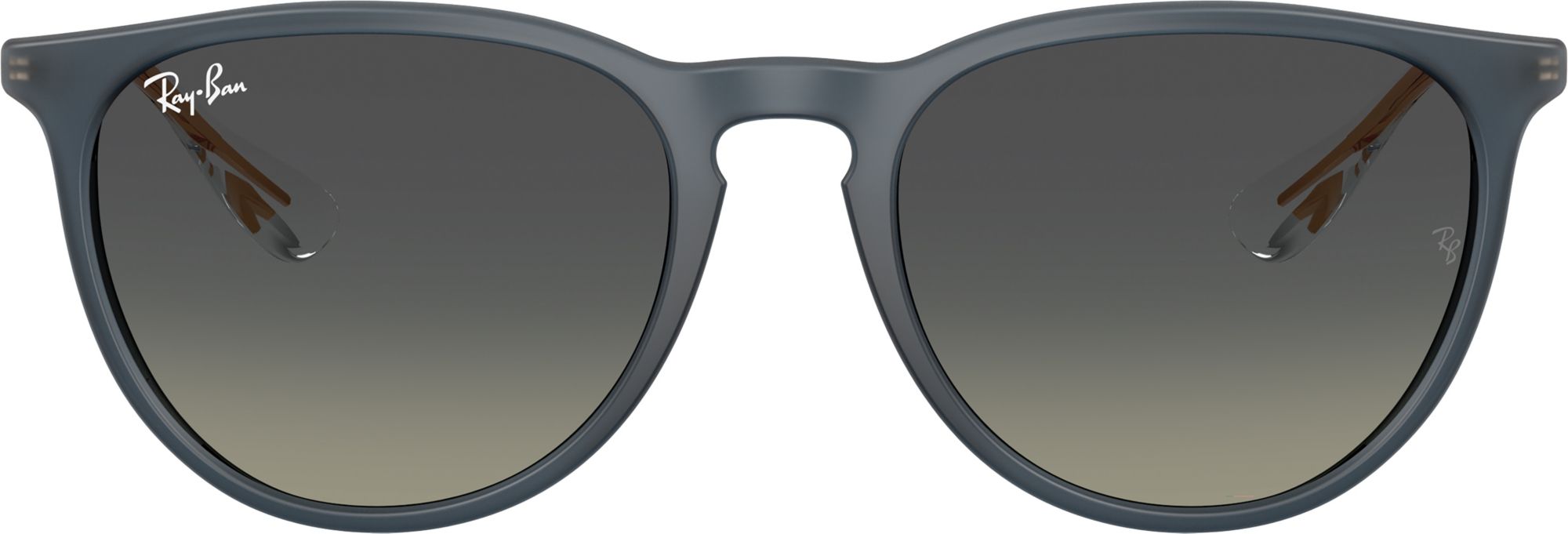 Ray-Ban Erika Classic Sunglasses product image
