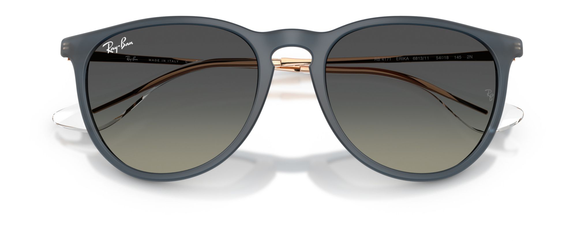 Ray-Ban Erika Classic Sunglasses product image