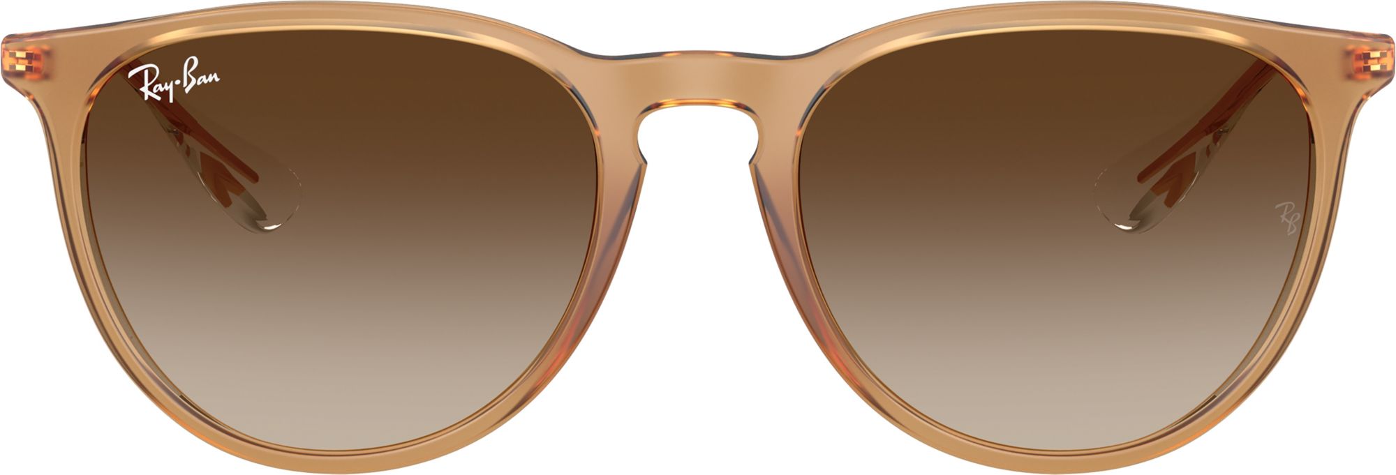 Ray-Ban Erika Classic Sunglasses product image