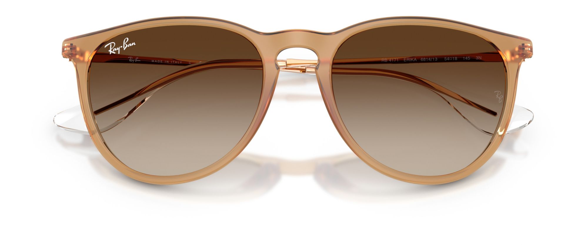 Ray-Ban Erika Classic Sunglasses product image