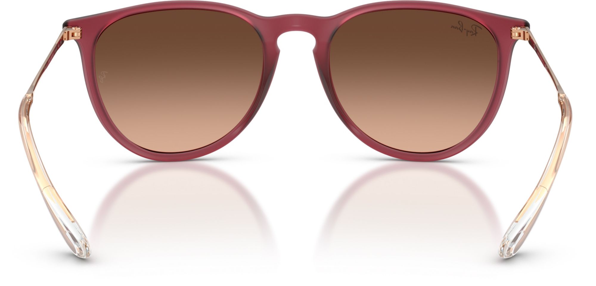 Ray-Ban Erika Classic Sunglasses product image