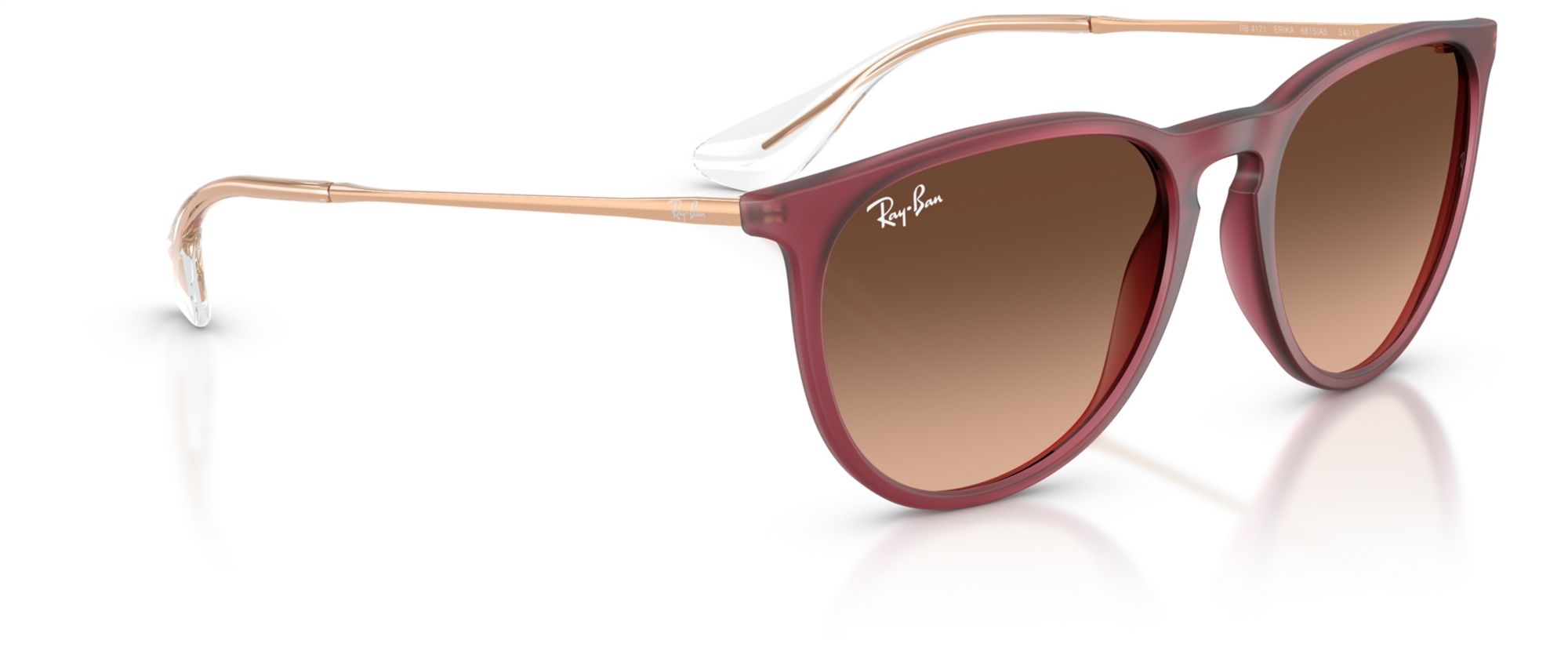 Ray-Ban Erika Classic Sunglasses product image