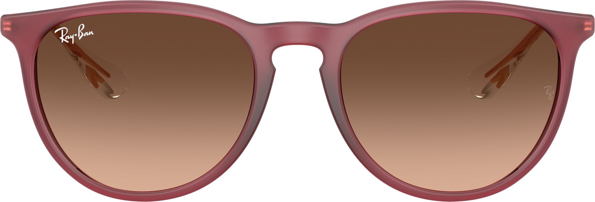 Ray-Ban Erika Classic Sunglasses product image