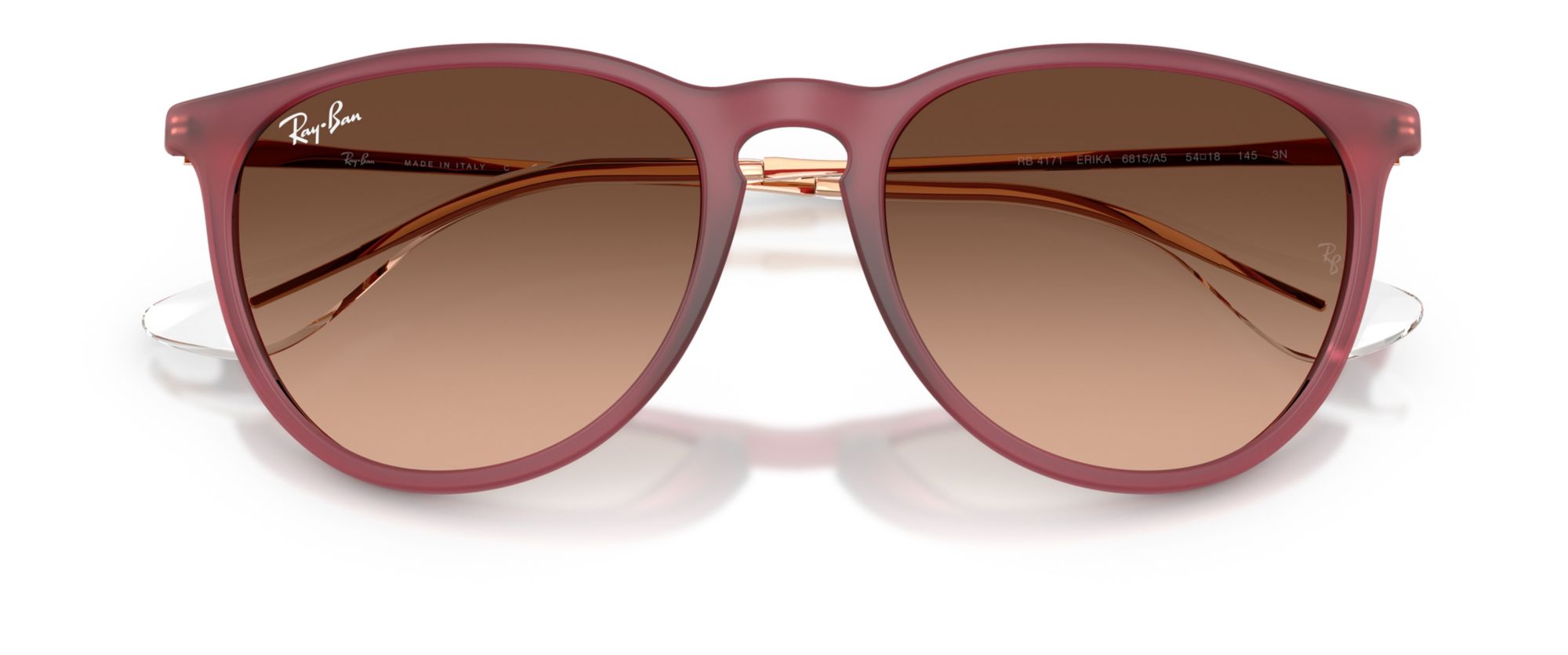 Ray-Ban Erika Classic Sunglasses product image