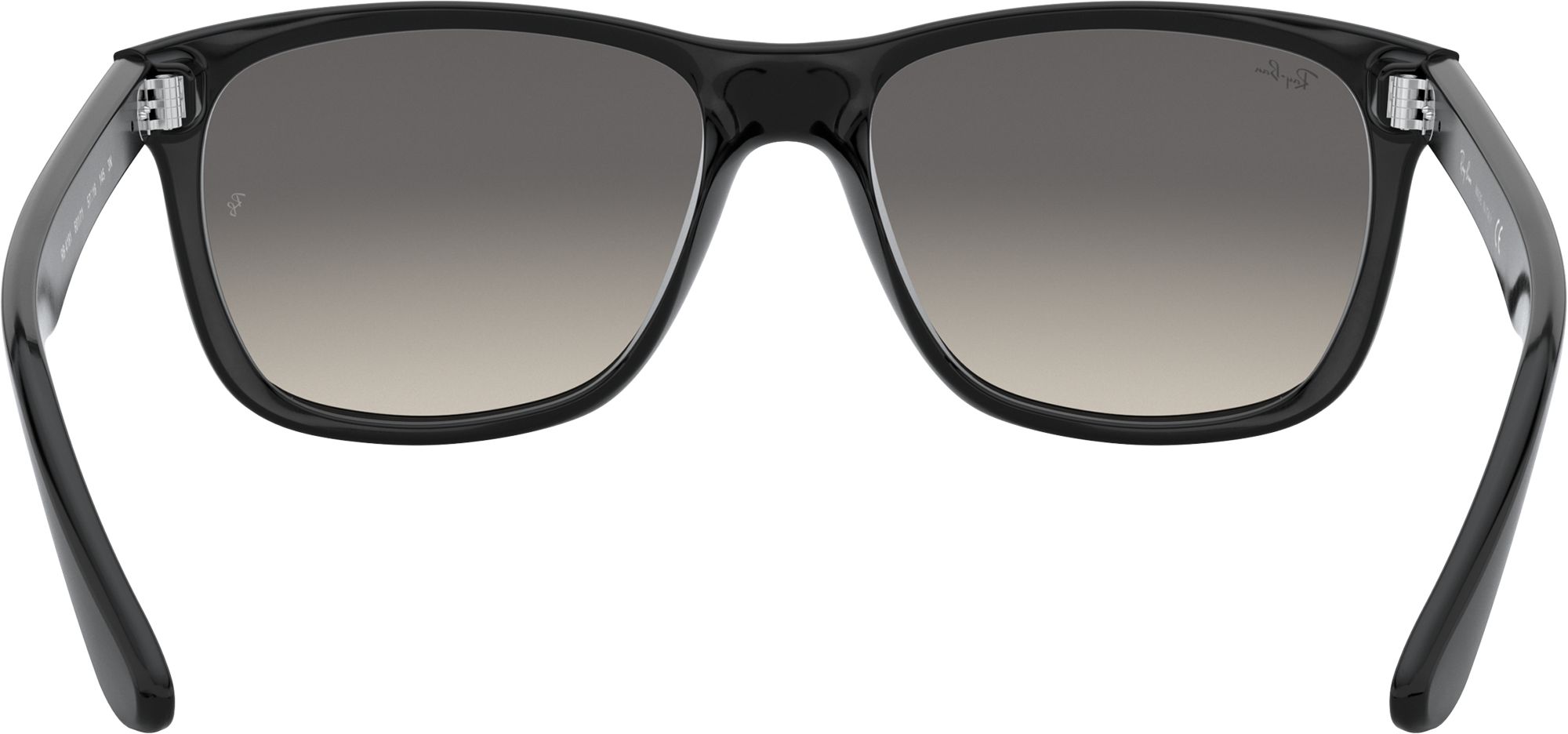 Ray-Ban Wayfarer Large Sunglasses product image