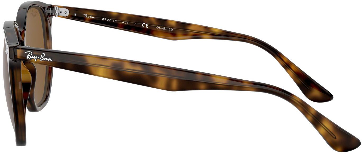 Ray-Ban 4306 Sunglasses product image