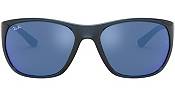 Ray-Ban 4307 Polarized Sunglasses product image