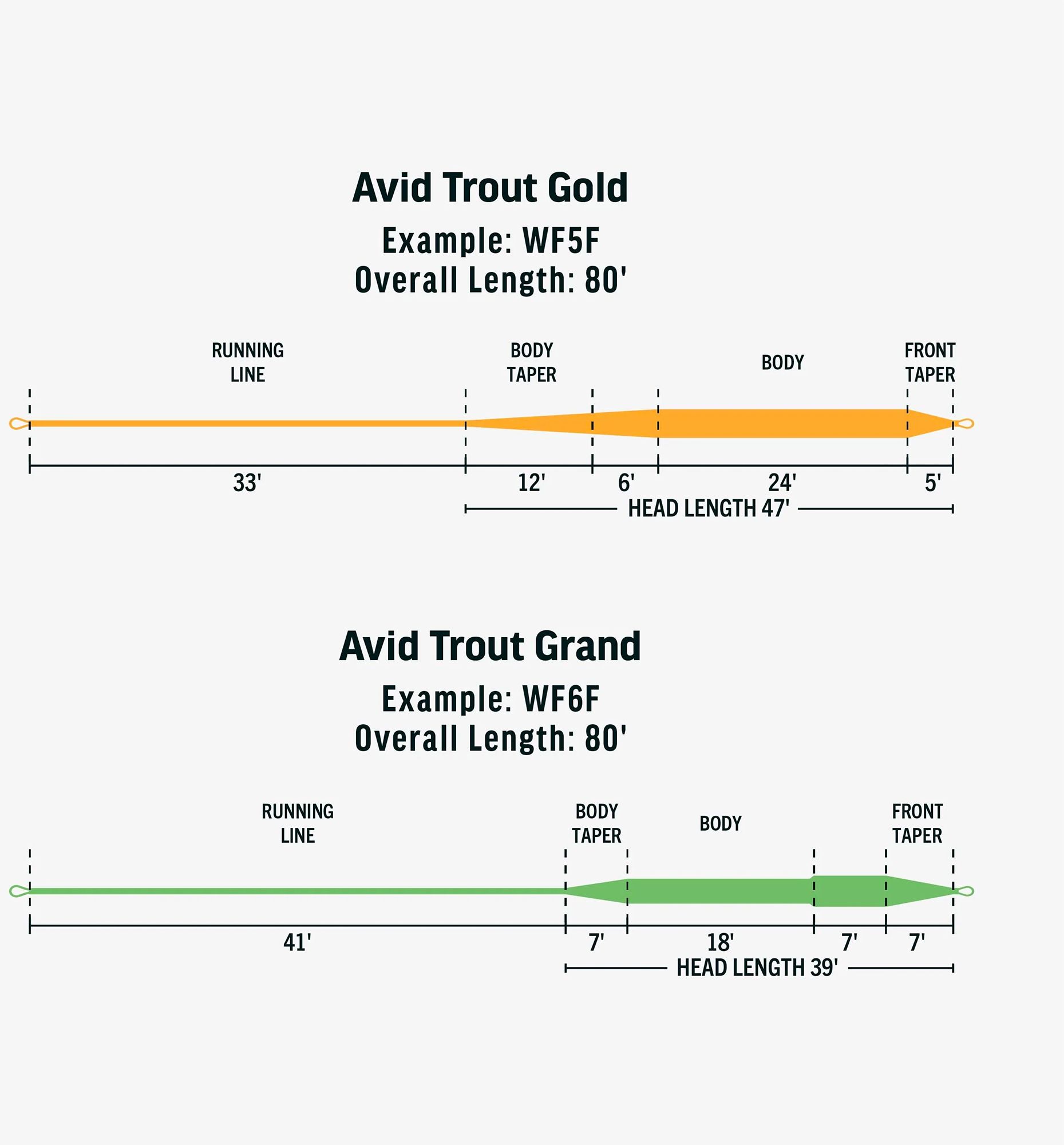 RIO Avid Trout Gold Fly Line product image