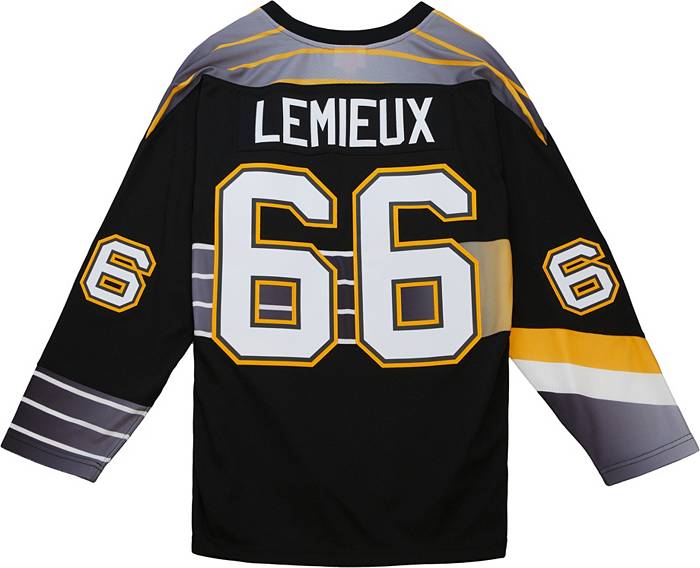 Mario Lemieux Signed Pittsburgh Penguins #66 Career Hockey Jersey