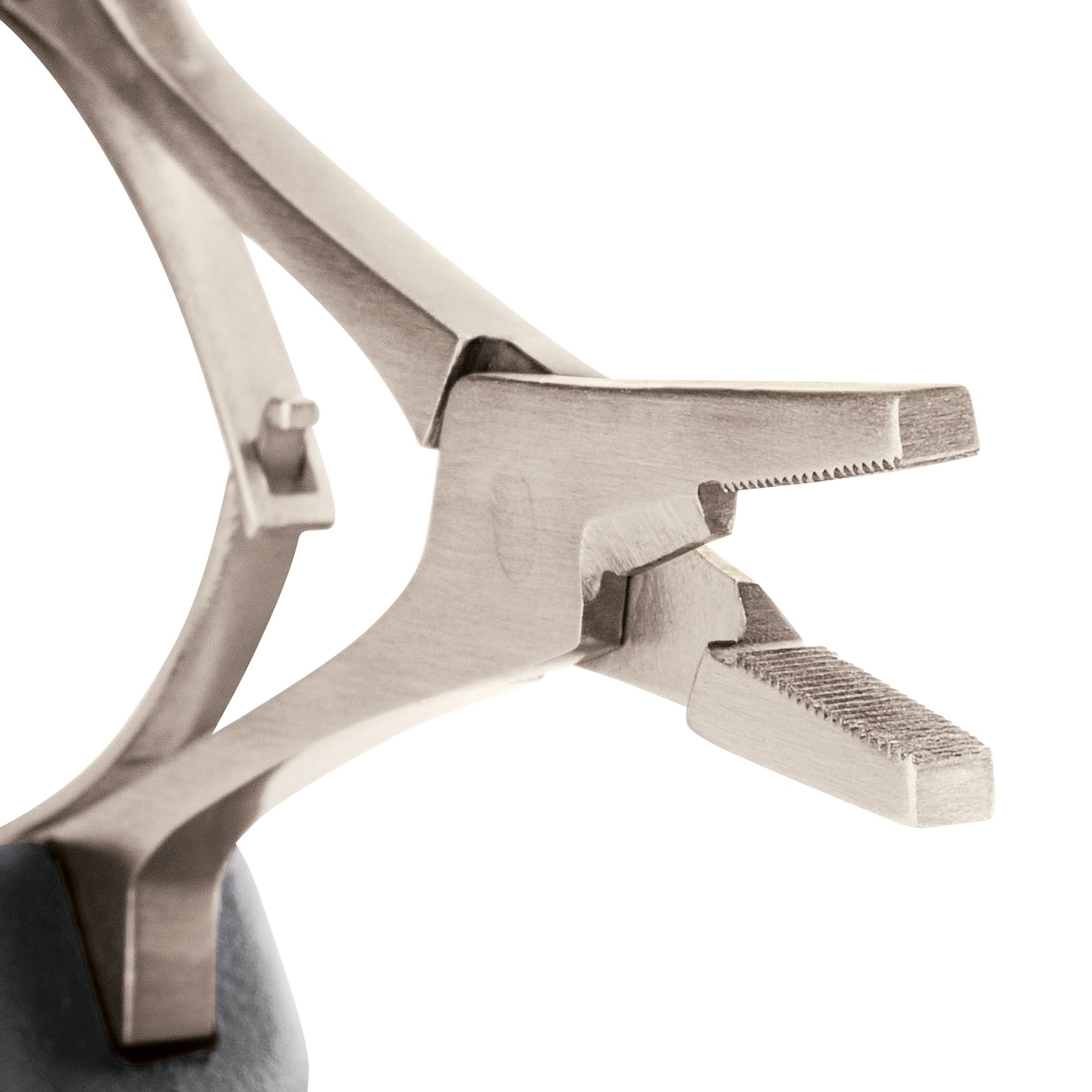 Rapala 7" Precision Forceps product image