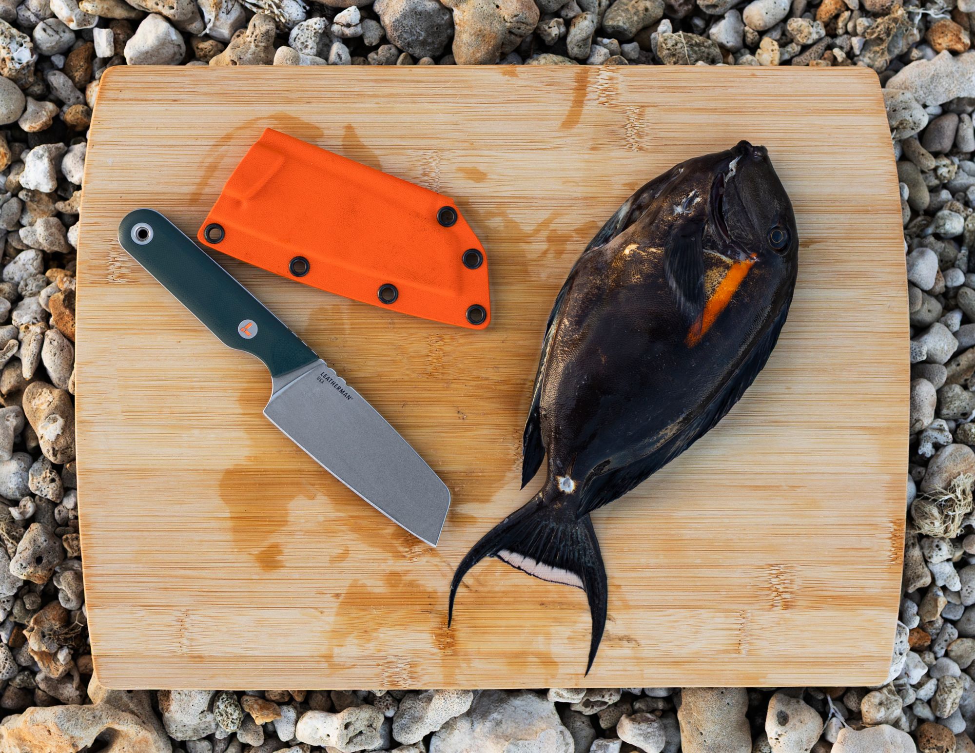 Leatherman Rustle Fixed-Blade Knife product image