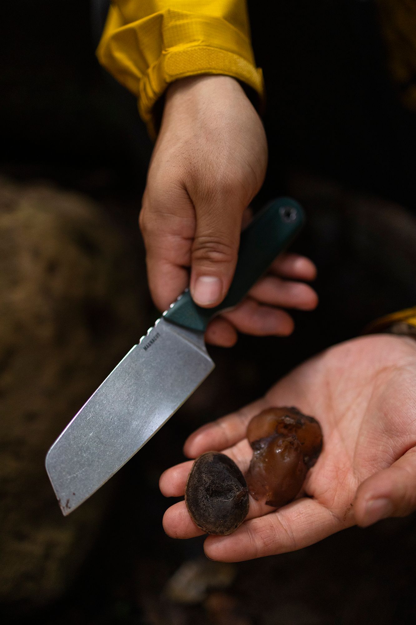 Leatherman Rustle Fixed-Blade Knife product image