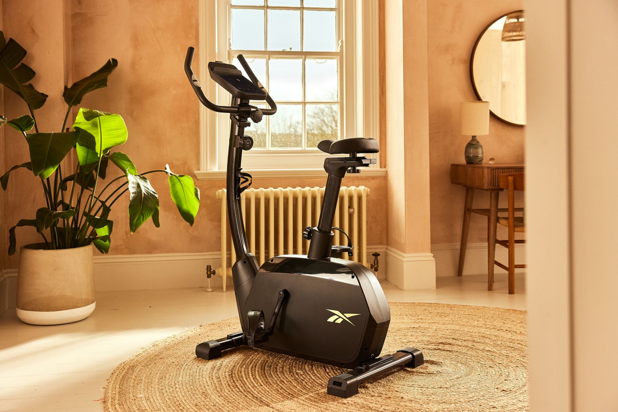 Reebok FR20 Exercise Bike product image