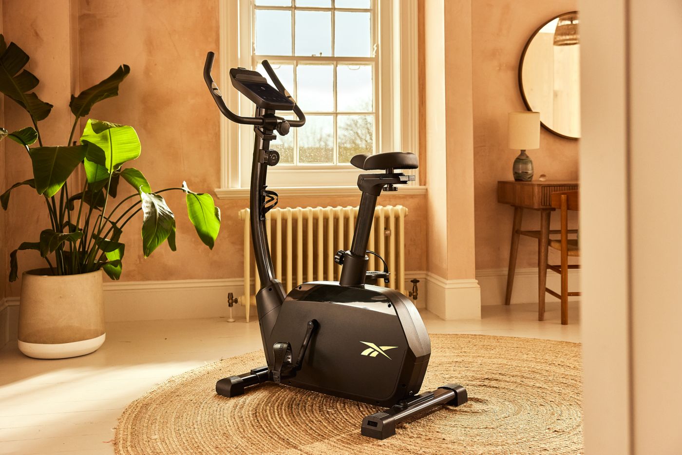 Reebok exercise bike zr8 online